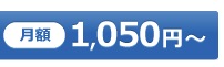 月額費用